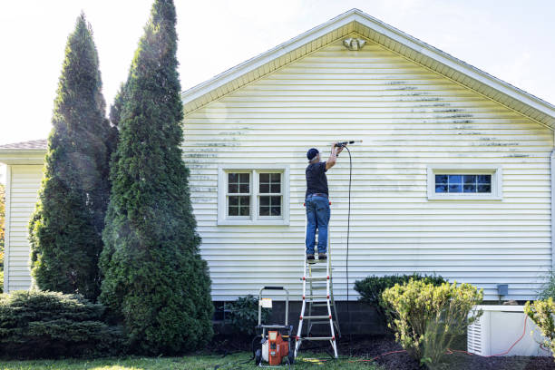 Best Patio and Deck Pressure Washing  in Memphis, FL