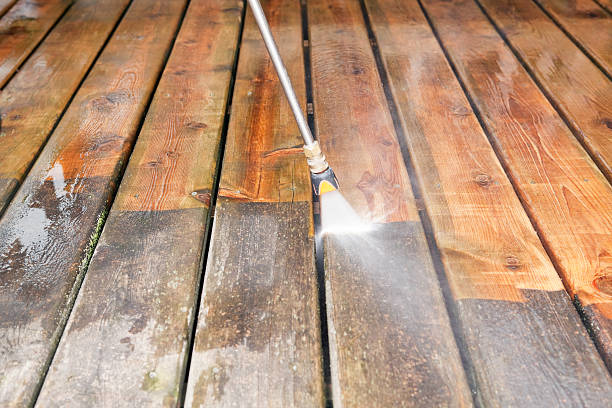 Best Sidewalk and Walkway Cleaning  in Memphis, FL
